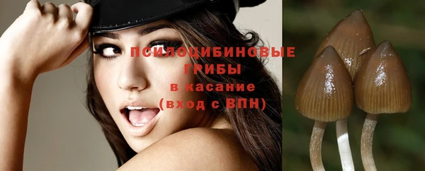 a pvp Арсеньев