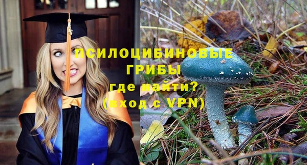 a pvp Арсеньев