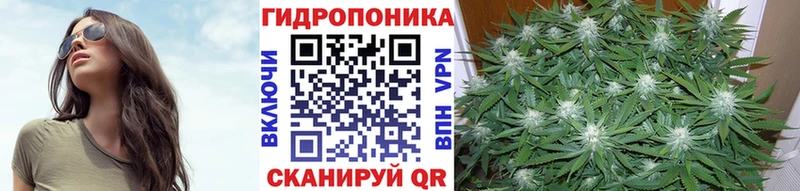 Бошки Шишки OG Kush Арзамас
